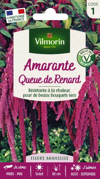 Fleurs - Amarante Queue de Renard - PACKAGING_RECTO